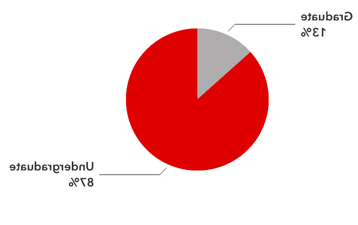 2023年秋季本科生(87%)和研究生(13%)的比例对比图